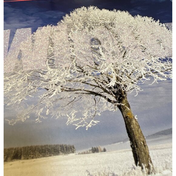 Holly & Winter Glitter Holiday Cards Set With Red Envelopes Set of 18 Beautiful - Picture 3 of 6